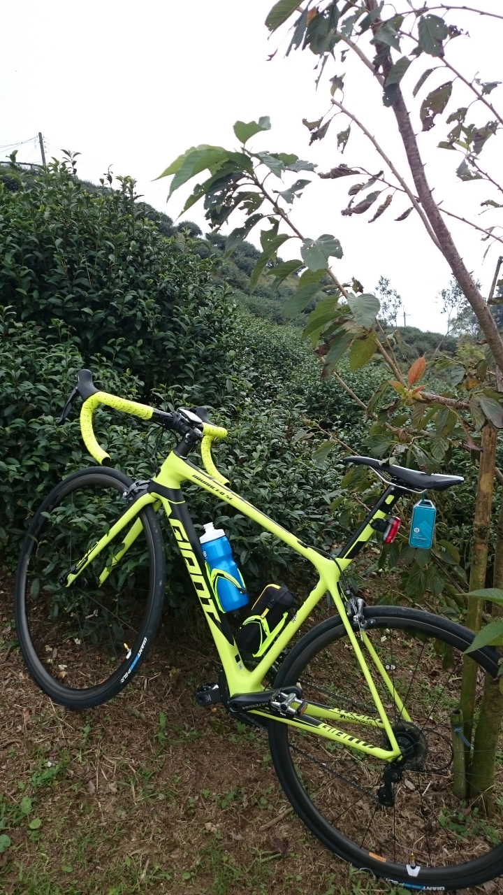 我的2016 TCR ADVENCED SL2