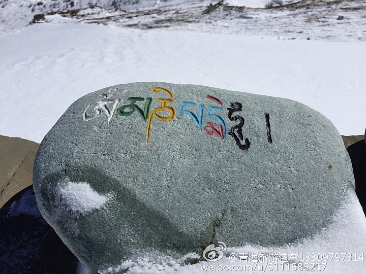 中國青海省青藏高原圖片分享