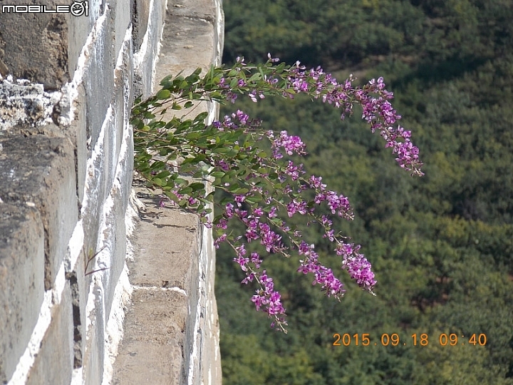 撞道口長城 (鎮虜關)