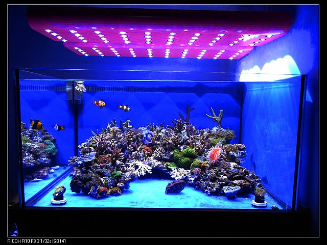 十年海水之無底深淵