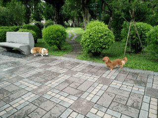 【試用體驗】OPPO R7 一閃動人心的動人時刻