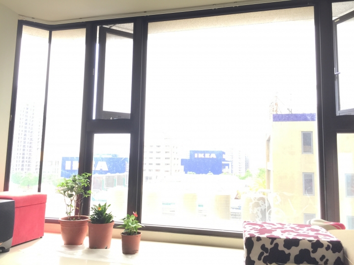請教室內西曬適合的植物