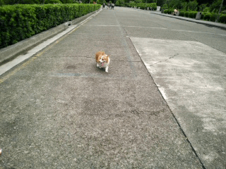 【試用體驗】OPPO R7 一閃動人心的動人時刻