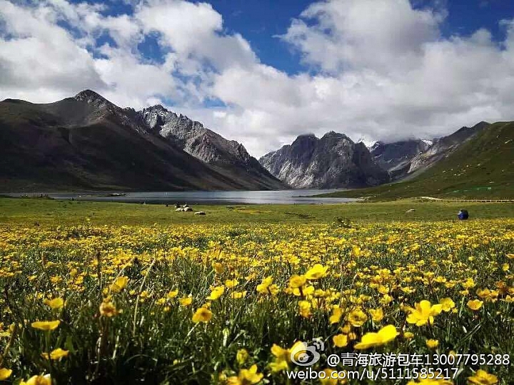 中國青海省青藏高原圖片分享