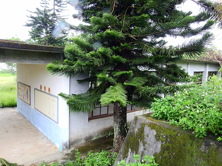 古蹟樂山國小，勾起4、5、6年級生的小學回憶。