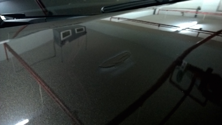 [心得分享]BMW原廠Touch-up paint使用分享及心得