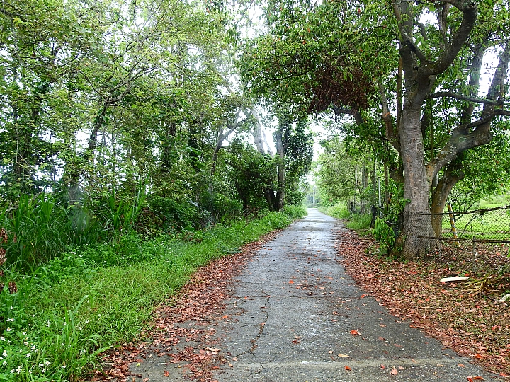 古蹟樂山國小，勾起4、5、6年級生的小學回憶。