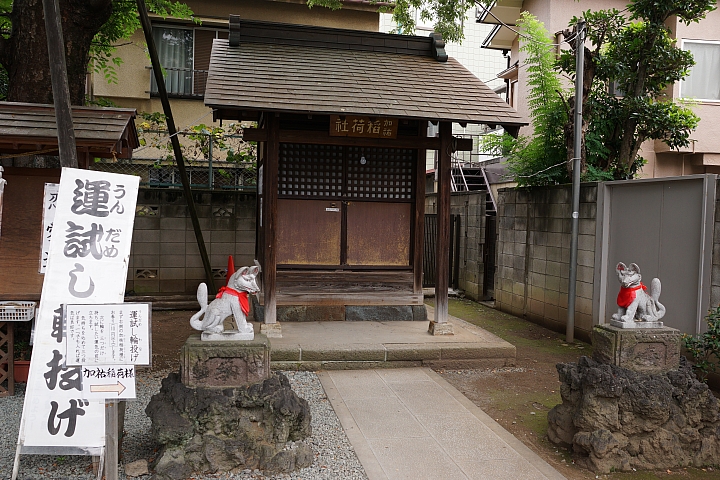 [圖多]2015.09.06 川越冰川神社-小江戶-池袋無敵家