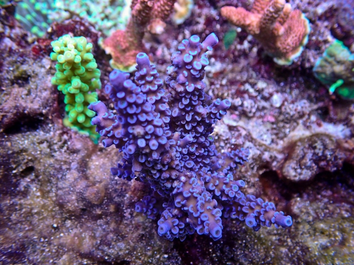 十年海水之無底深淵