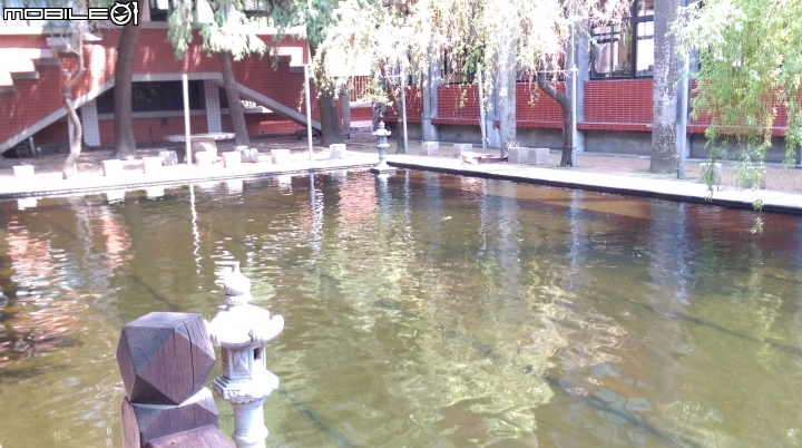 彰化東南中學餵魚遊