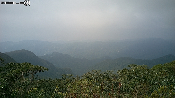 「Ford 24小時非試不可 KUGA 」之拉拉山、東眼山