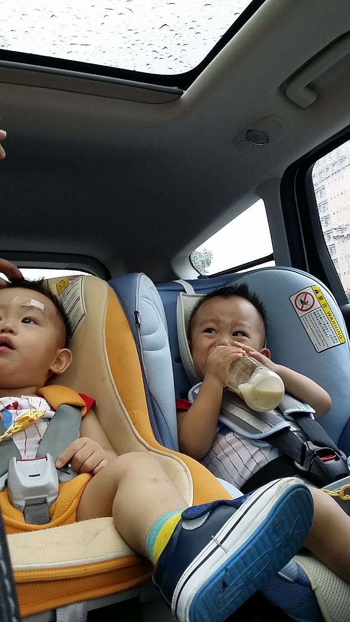 Ford Kuga 1.5CG 24小時試駕-皇后鎮森林