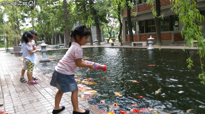 彰化東南中學餵魚遊