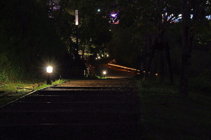 第一次夜攝...  好難對到焦... 懇請前輩指點迷津