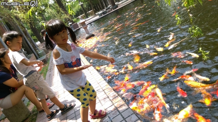 彰化東南中學餵魚遊