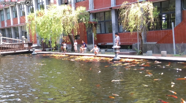 彰化東南中學餵魚遊
