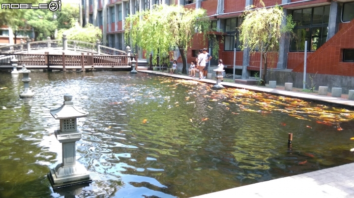 彰化東南中學餵魚遊