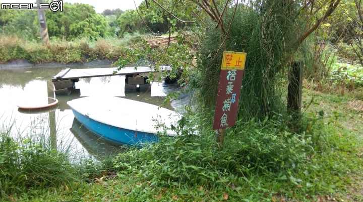 桃園林家古厝散步遊