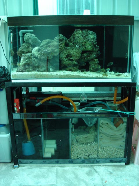 十年海水之無底深淵