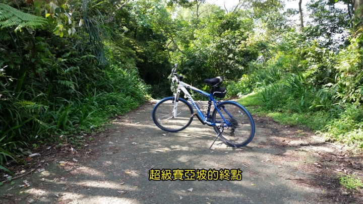 【路線分享】土城第一陡坡．永豐路慈聖宮．超級賽亞坡．大家來挑戰．超級陡坡介紹