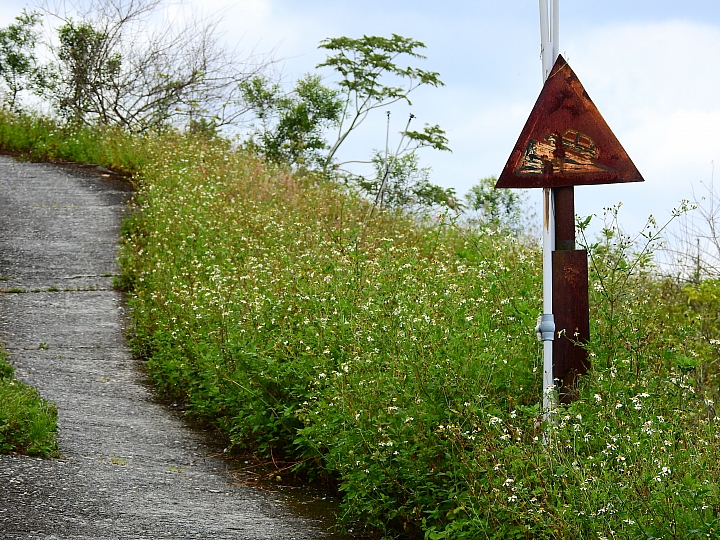 台東樂山赤腹鷹過境，帶著Nikon P900去等，2個多小時的等待卻沒看到。
