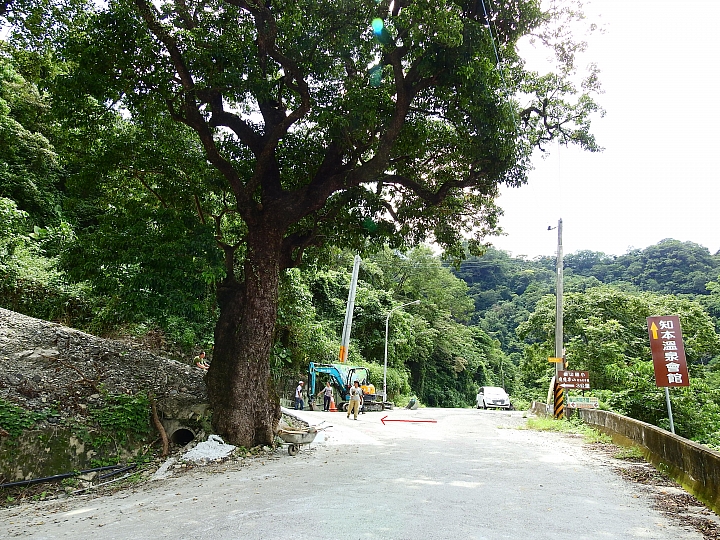 台東樂山赤腹鷹過境，帶著Nikon P900去等，2個多小時的等待卻沒看到。