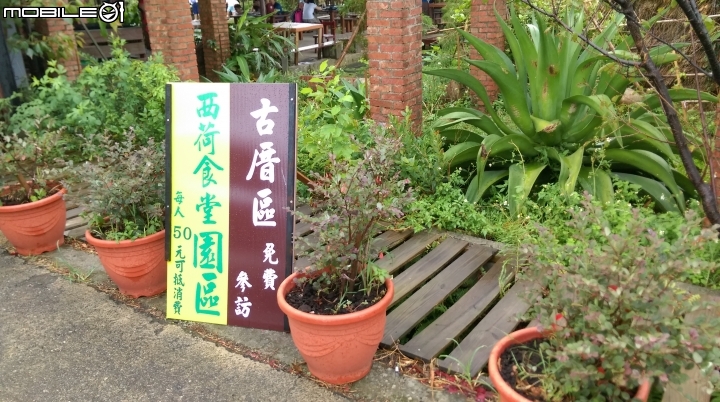 桃園林家古厝散步遊