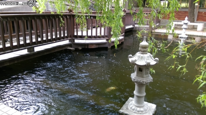 彰化東南中學餵魚遊