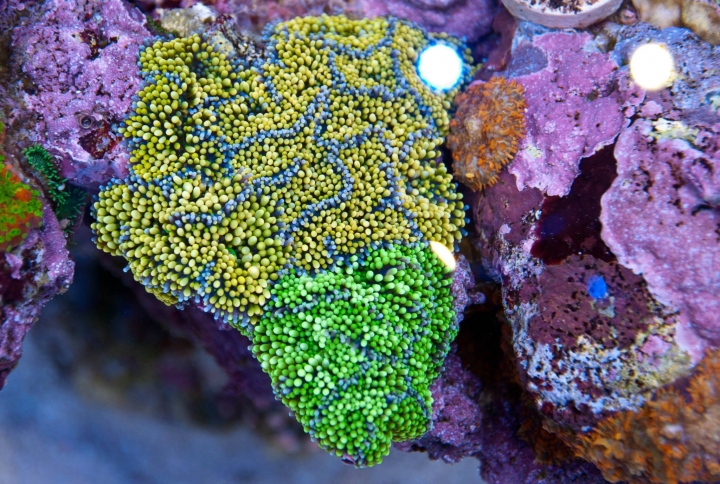 十年海水之無底深淵