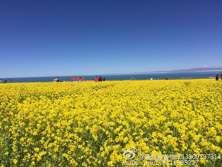 中國青海省青藏高原圖片分享