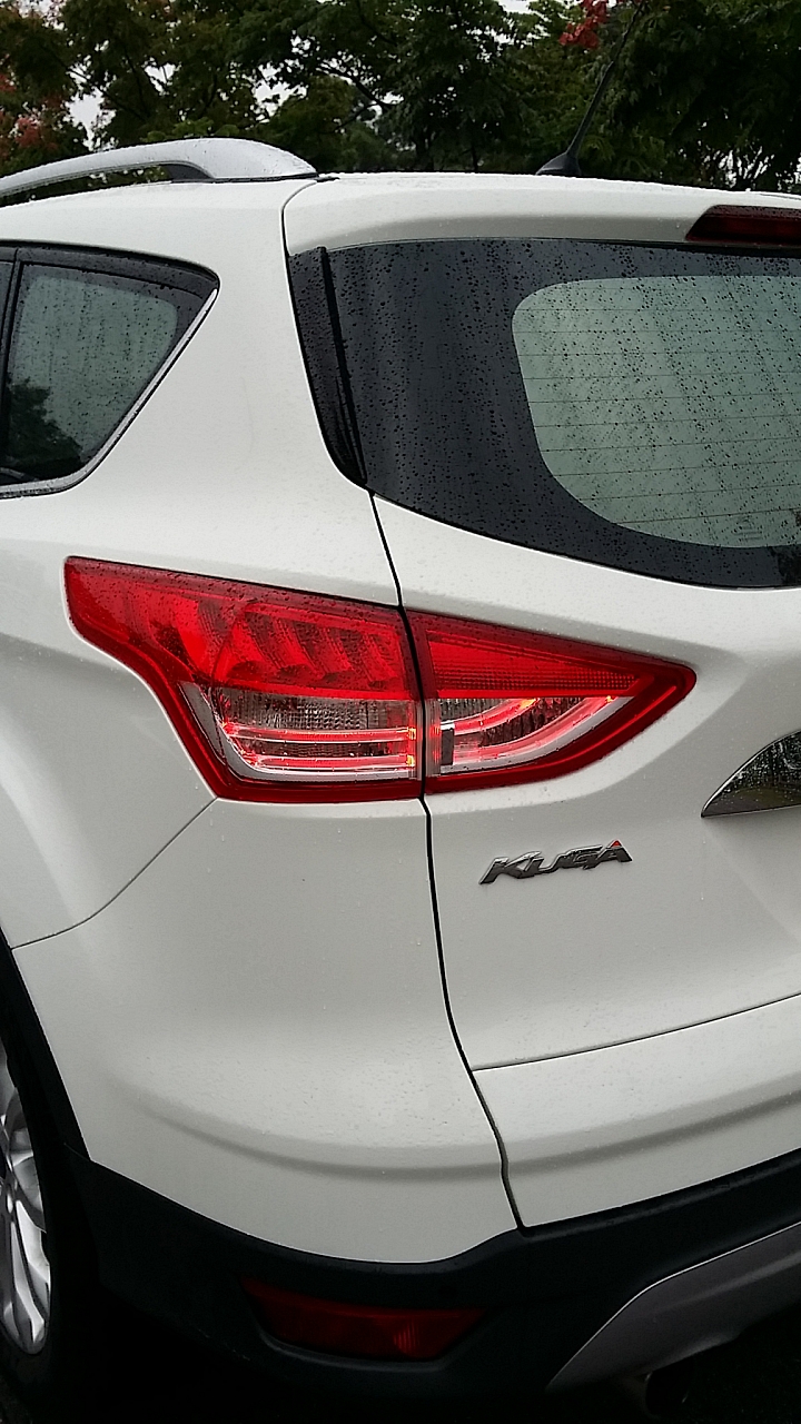 Ford Kuga 1.5CG 24小時試駕-皇后鎮森林