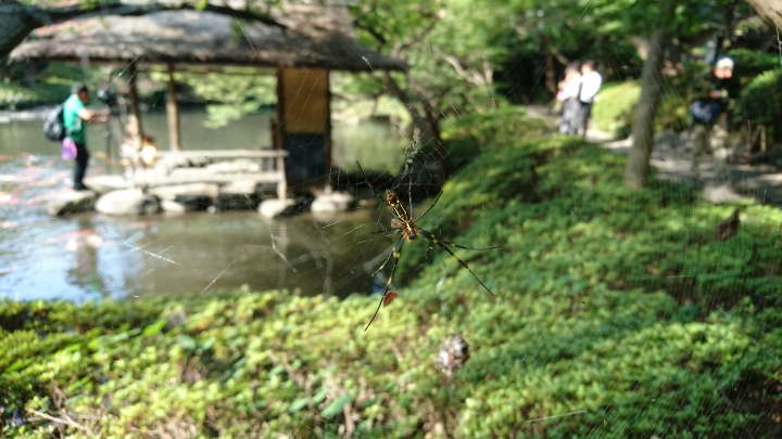 (分享)Xperia Z5  2300萬畫素實拍圖