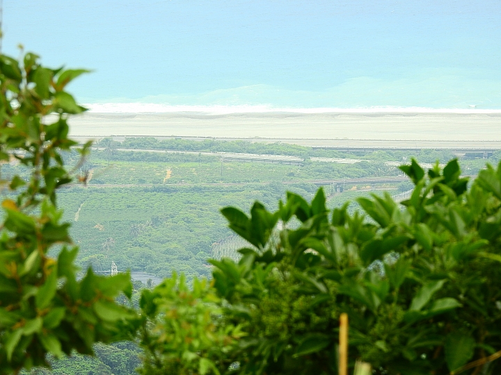 台東樂山赤腹鷹過境，帶著Nikon P900去等，2個多小時的等待卻沒看到。