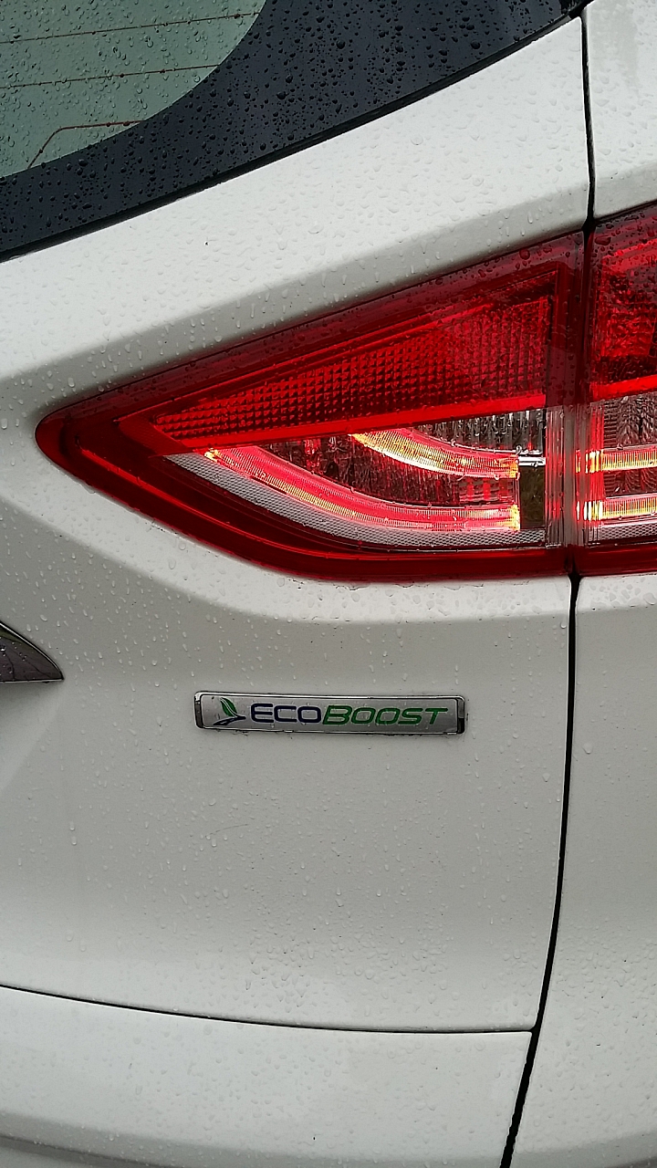 Ford Kuga 1.5CG 24小時試駕-皇后鎮森林