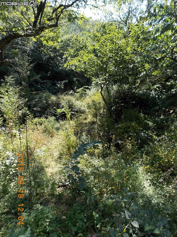 撞道口長城 (鎮虜關)