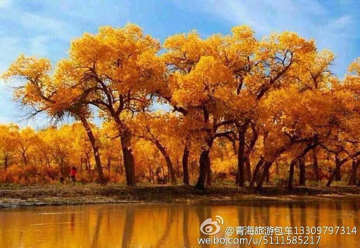 中國青海省青藏高原圖片分享