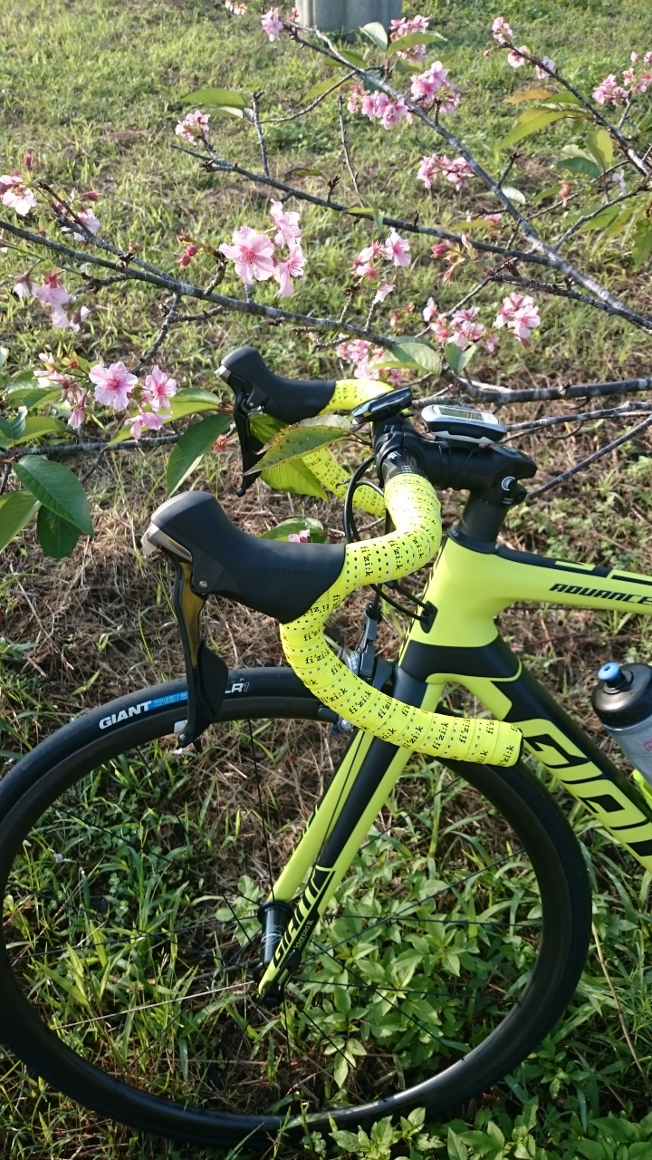 我的2016 TCR ADVENCED SL2
