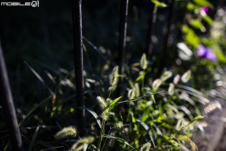 佳能EF 35mm f/1.4L II USM 作品賞析 歡迎來討論