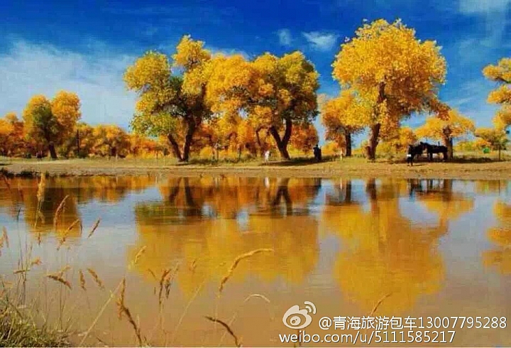 中國青海省青藏高原圖片分享