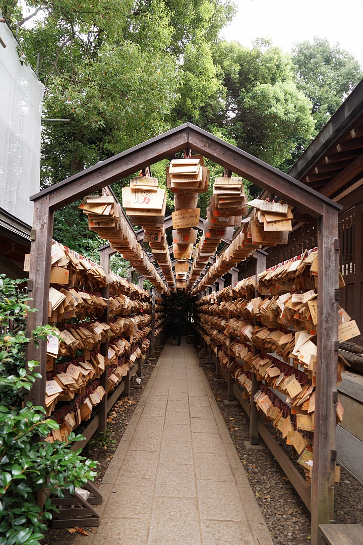 [圖多]2015.09.06 川越冰川神社-小江戶-池袋無敵家