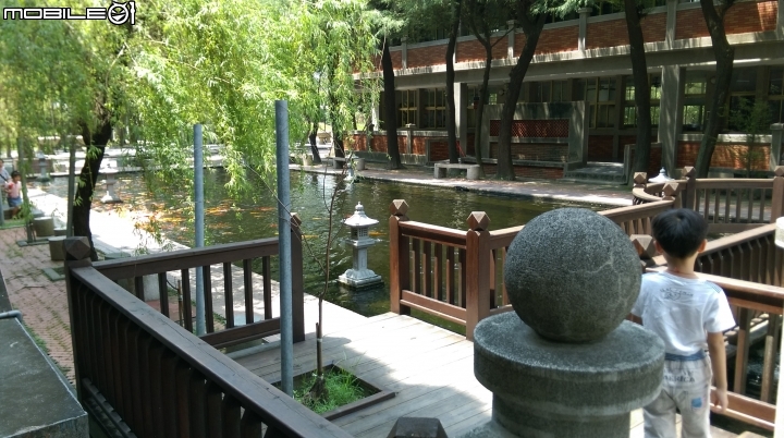 彰化東南中學餵魚遊