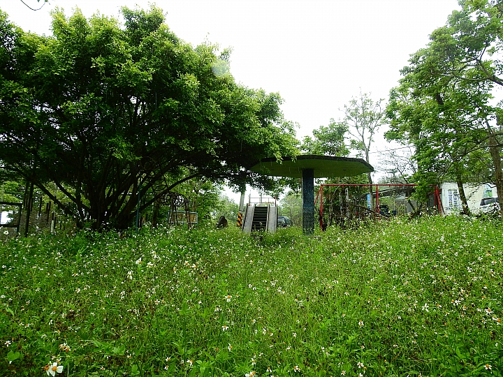古蹟樂山國小，勾起4、5、6年級生的小學回憶。