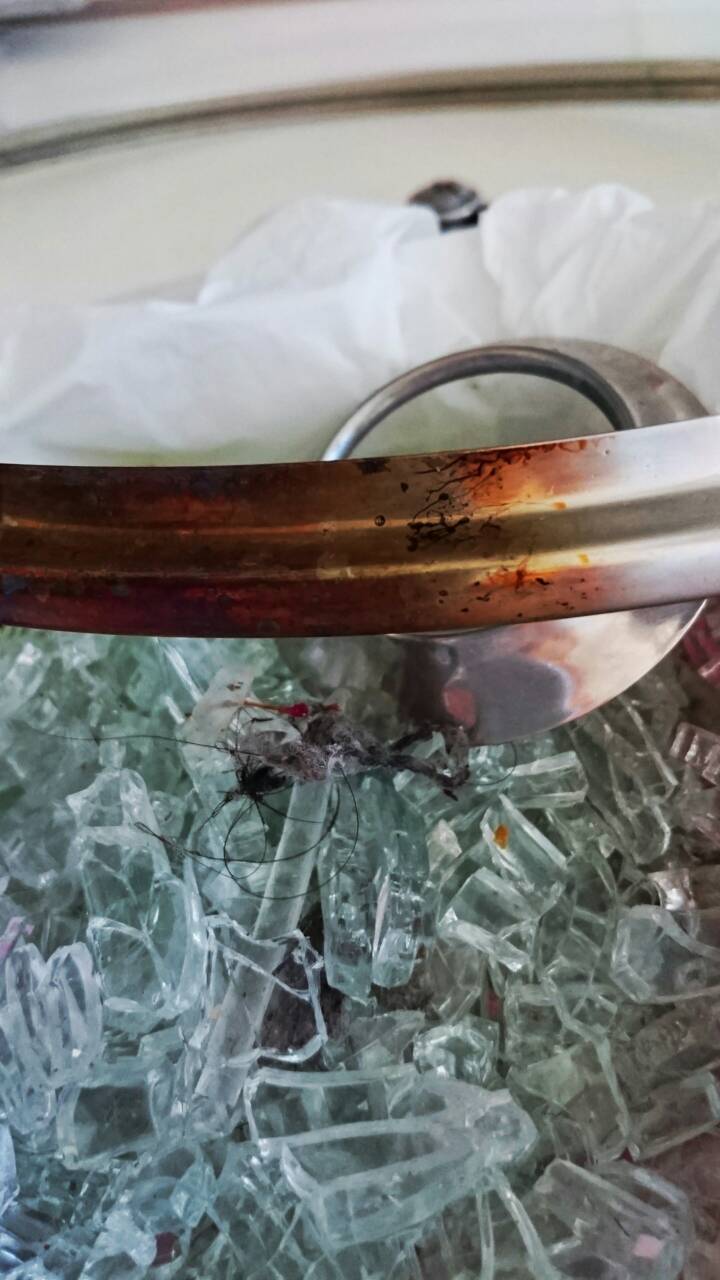 hola特力和樂買的鍋子 第一次使用就爆炸