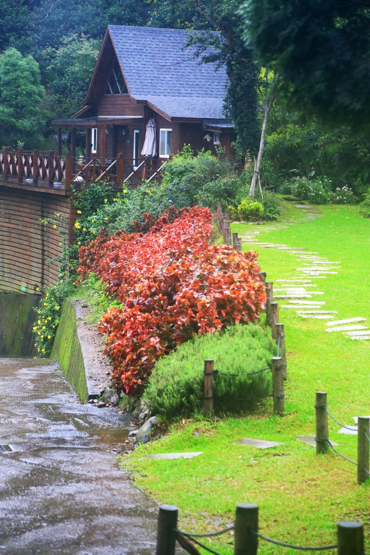[新竹芎林]草原已備只缺晴天 - Green Trail綠色小徑莊園風格餐廳