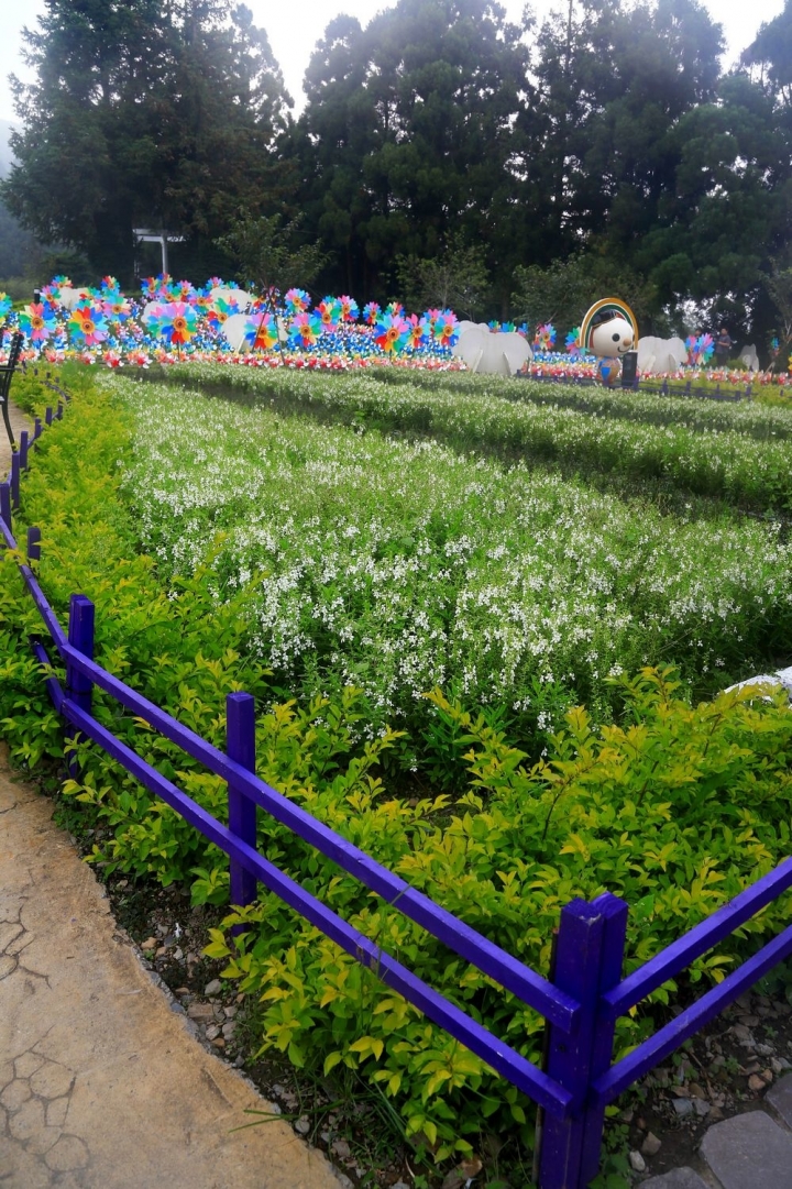 [南投仁愛]風車佈置更加分 - 小瑞士花園
