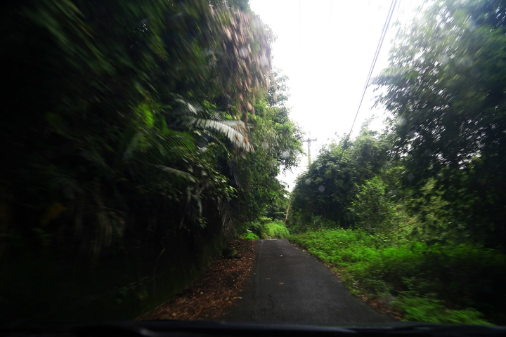 [新竹芎林]草原已備只缺晴天 - Green Trail綠色小徑莊園風格餐廳