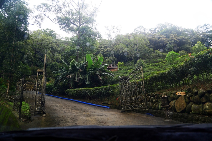 [新竹芎林]草原已備只缺晴天 - Green Trail綠色小徑莊園風格餐廳