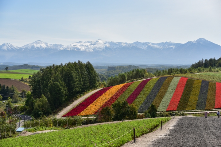 [D750 + T17-50 / T70-200] 圖多文非常少 北海道 函館->帶廣