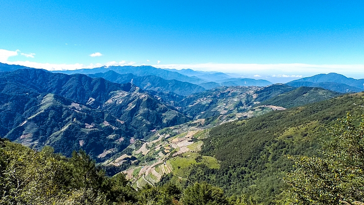 不跑就會後悔的 合歡山越野馬拉松