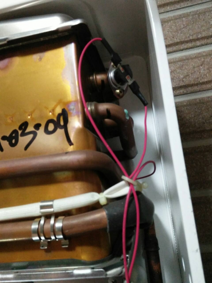林內 熱水器 水箱 銅綠蓋大樓